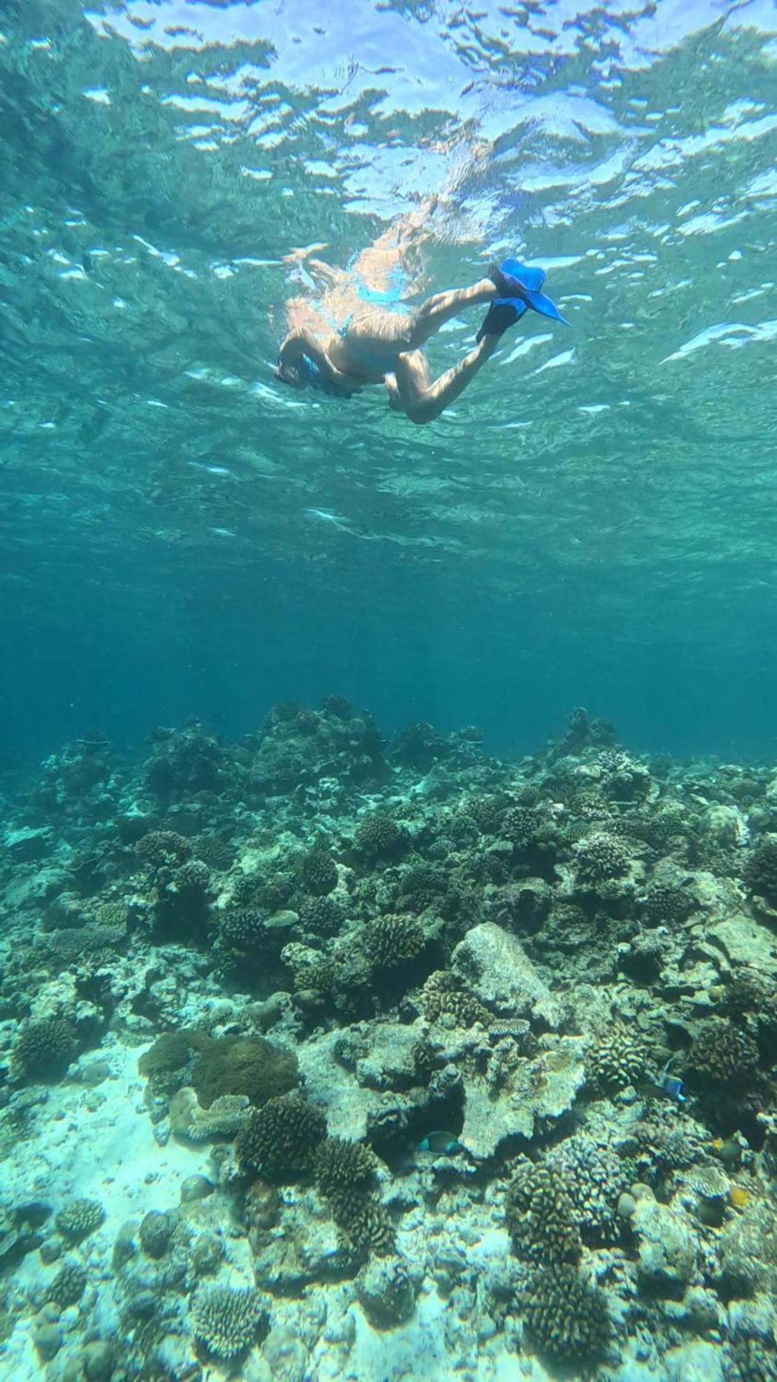 מלון Omadhoo Hudhuvelimaldives מראה חיצוני תמונה