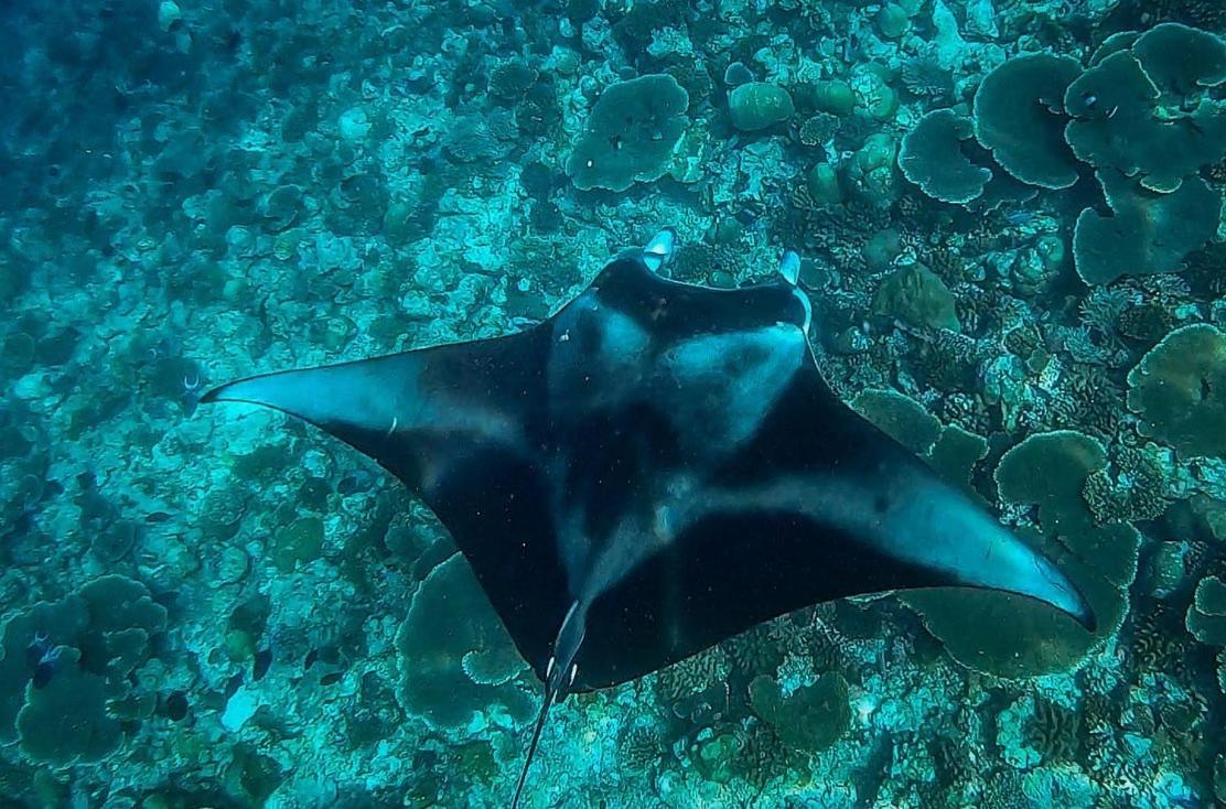 מלון Omadhoo Hudhuvelimaldives מראה חיצוני תמונה