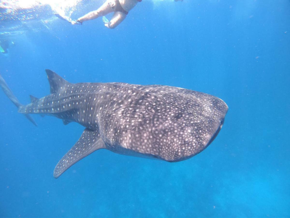 מלון Omadhoo Hudhuvelimaldives מראה חיצוני תמונה